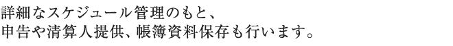 詳細なスケジュール管理のもと、申告や清算人提供、帳簿資料保存も行います。